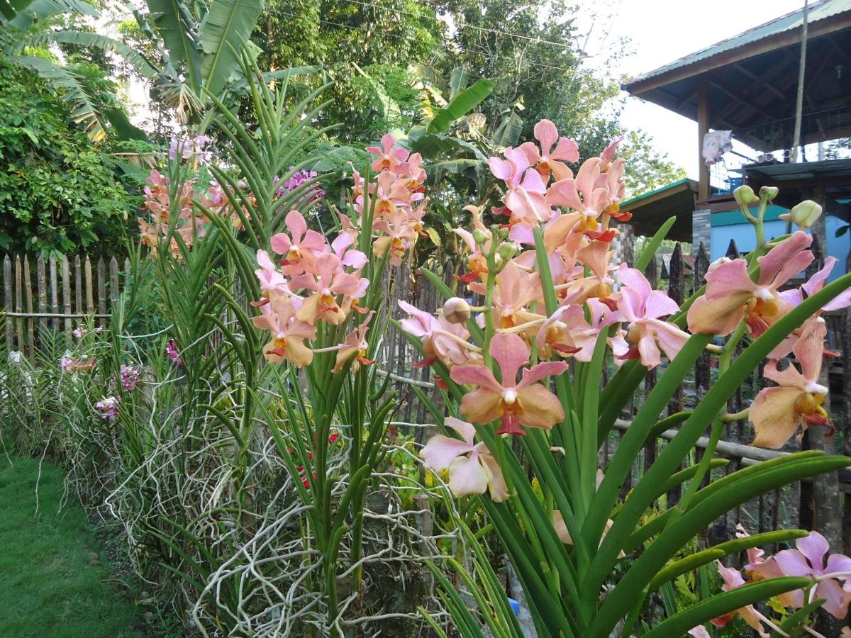 Lhoyjean Garden Hostel Batuan Exterior photo