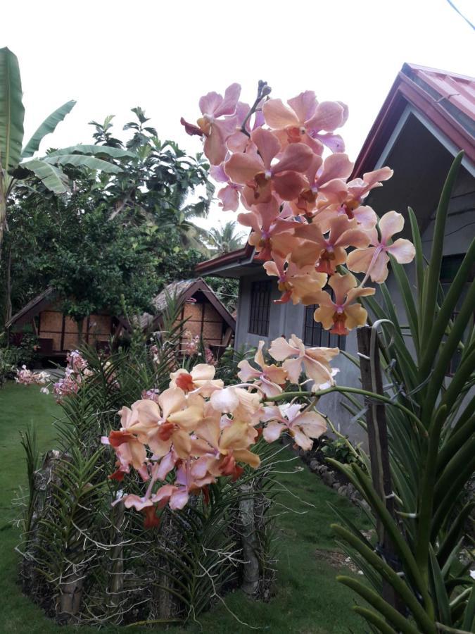 Lhoyjean Garden Hostel Batuan Exterior photo