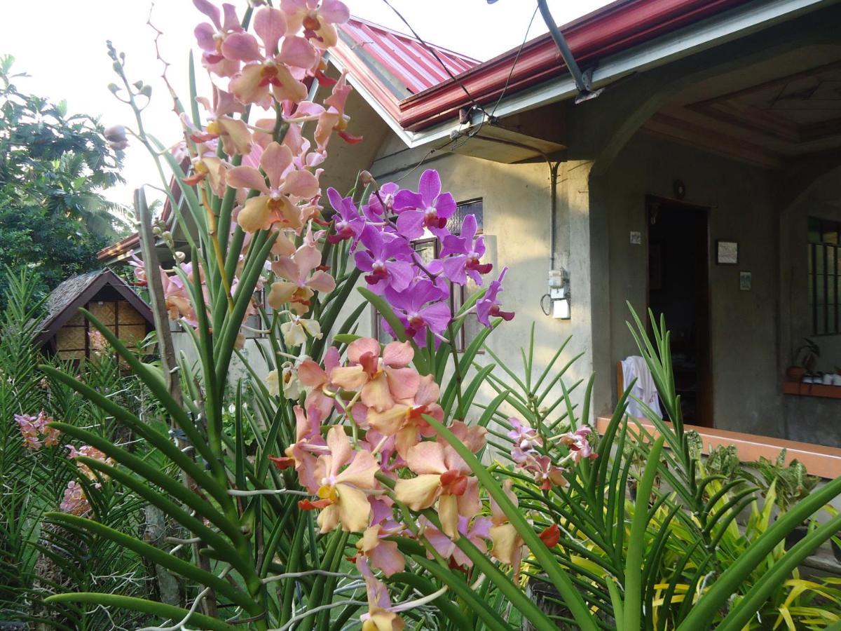 Lhoyjean Garden Hostel Batuan Exterior photo