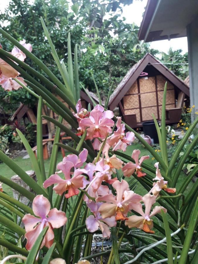 Lhoyjean Garden Hostel Batuan Exterior photo